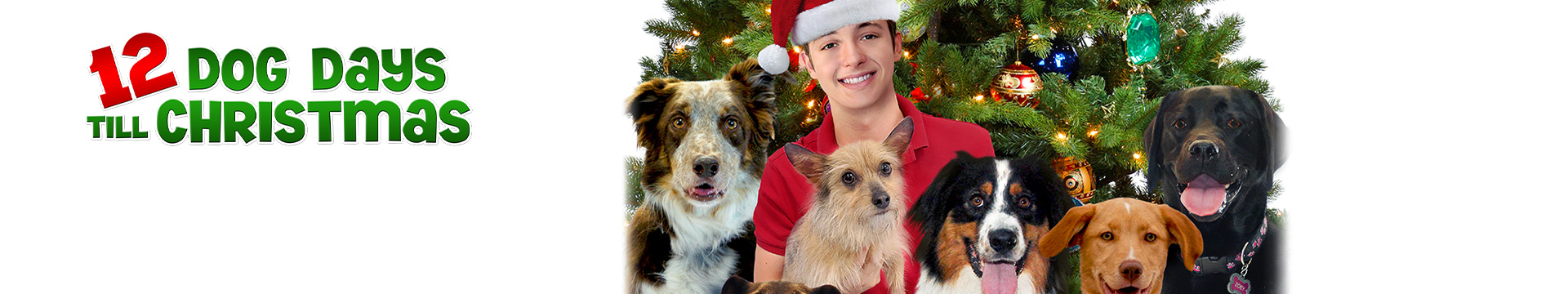 12 Dog Days Till Christmas