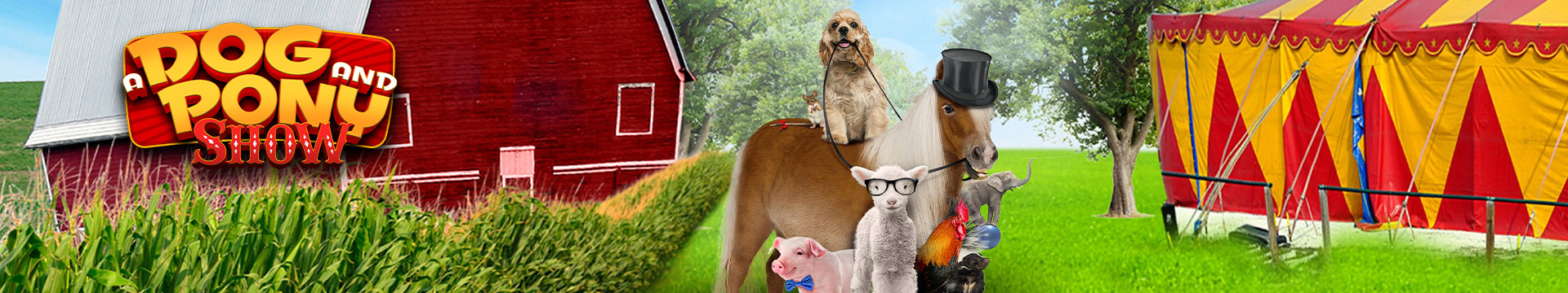 A Dog and Pony Show