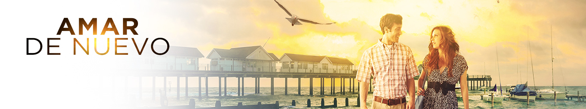 Amar de Nuevo