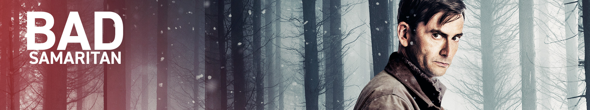 Bad Samaritan