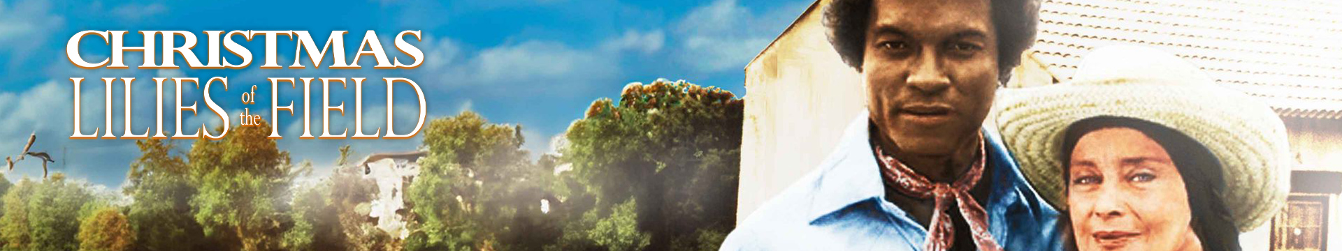 Christmas Lilies of the Field