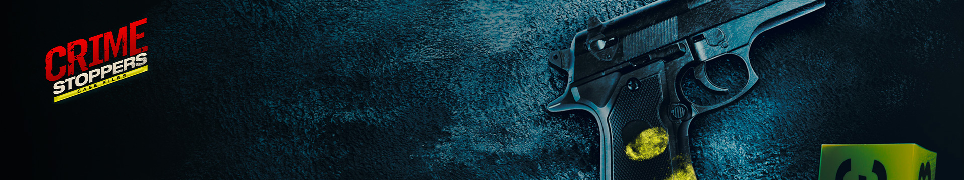 Crime Stoppers: Case Files