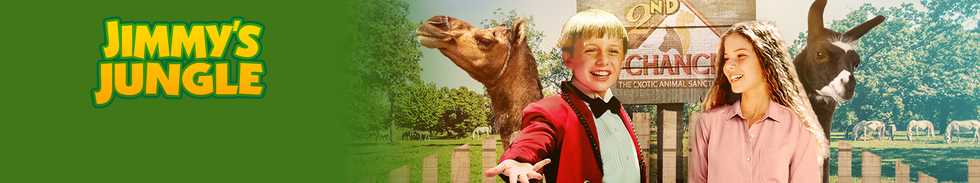Jimmy's Jungle