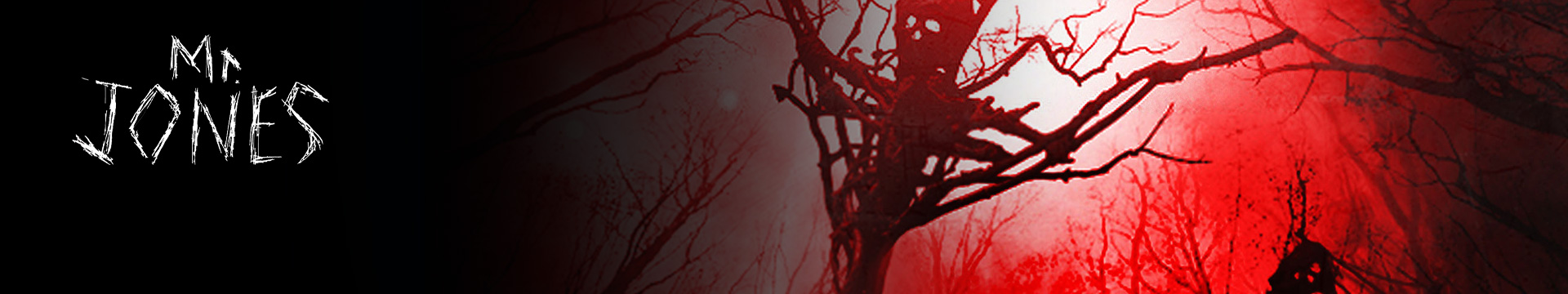Mr. Jones