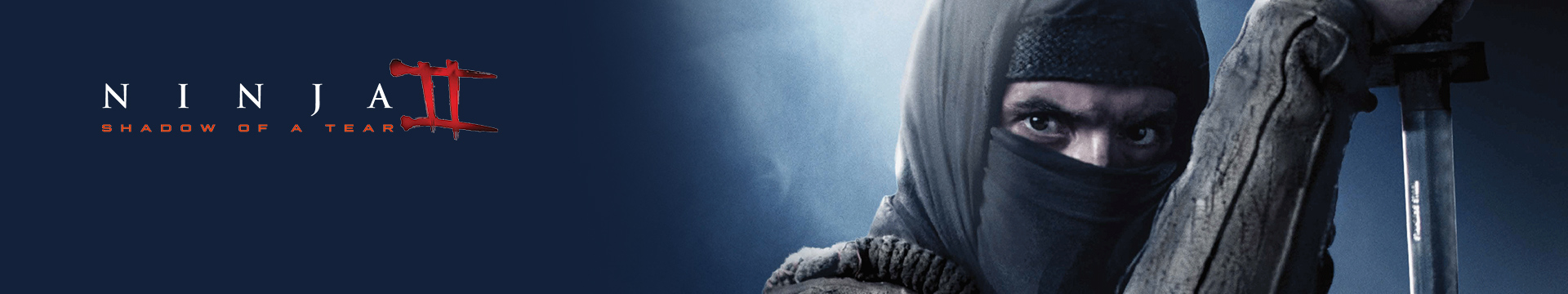 Ninja: Shadow of a Tear