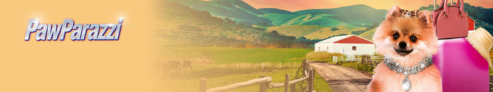 Pawparazzi