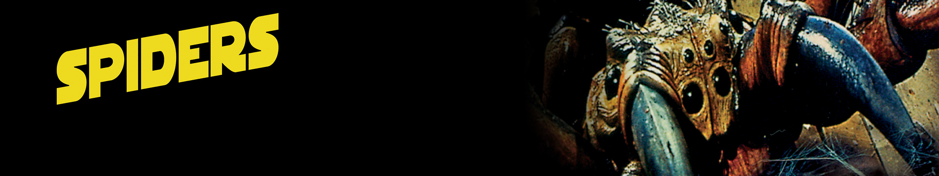 Spiders