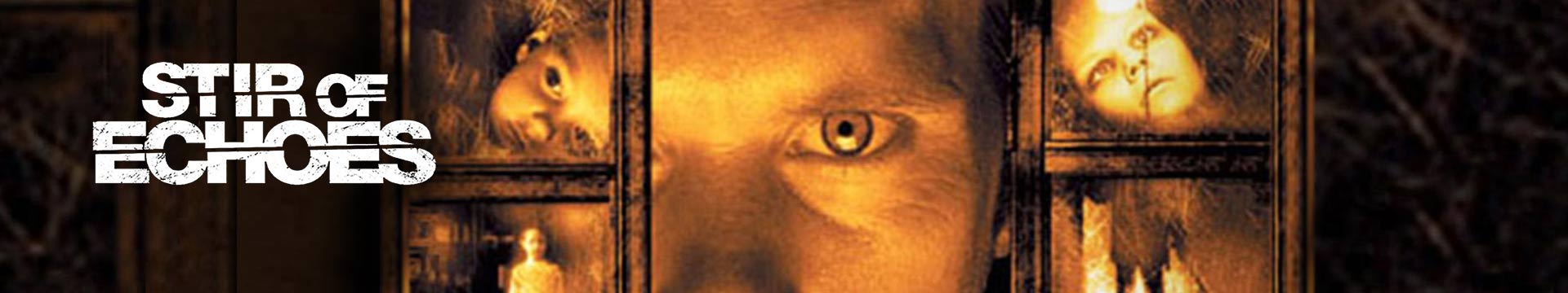 Stir of Echoes