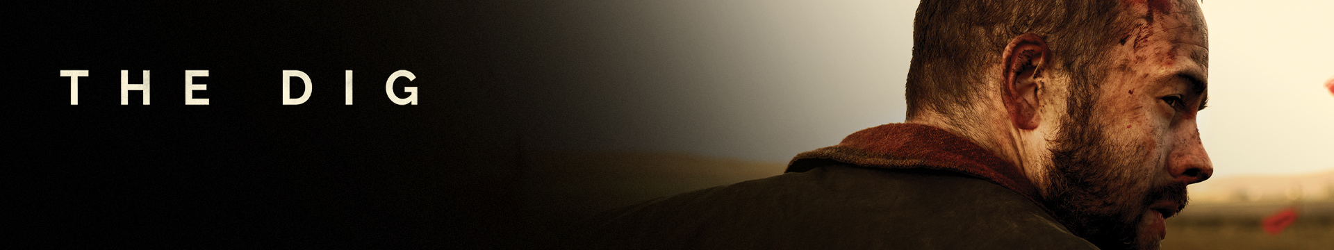 The Dig
