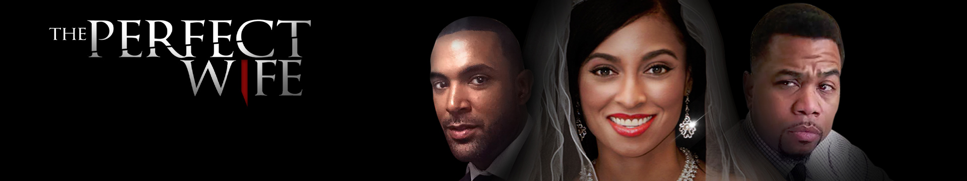 The Perfect Wife