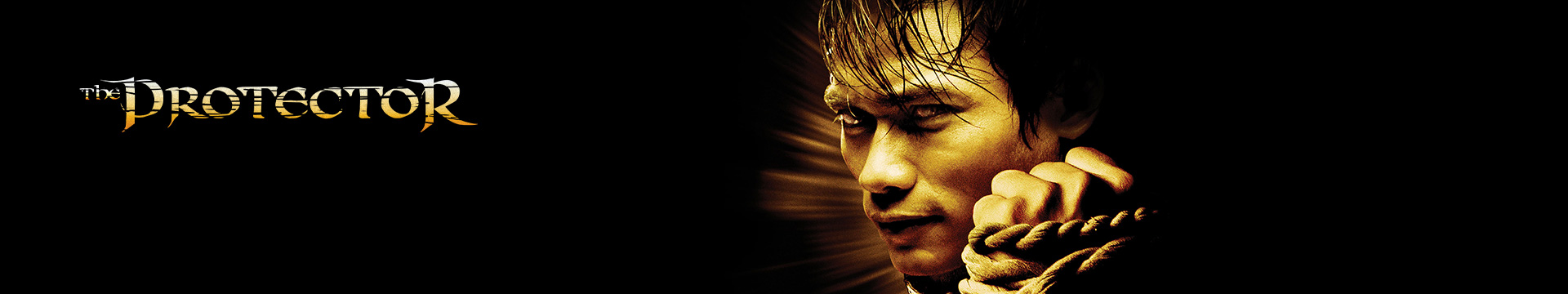 The Protector