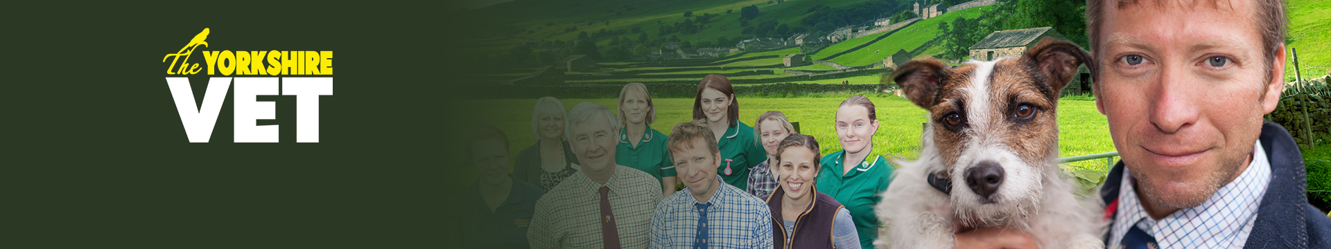 The Yorkshire Vet