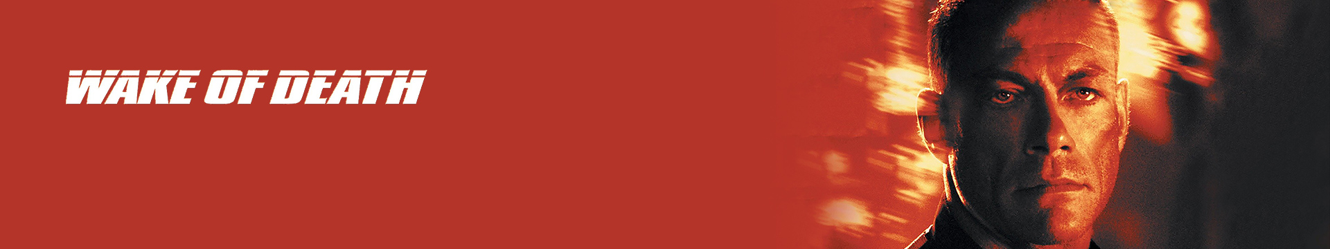 Wake of Death (2004)