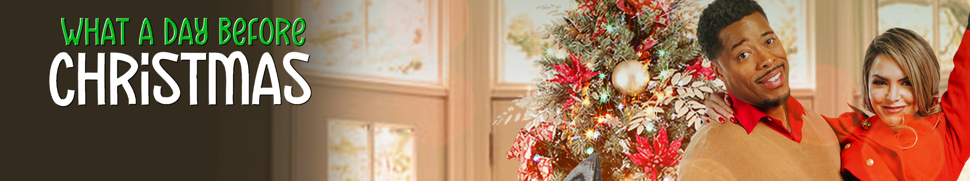 What a Day Before Christmas